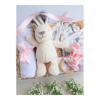 new baby girl gift box